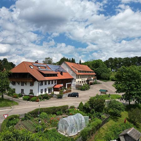 Haus Schlageter Apartment Dachsberg im Schwarzwald Bagian luar foto