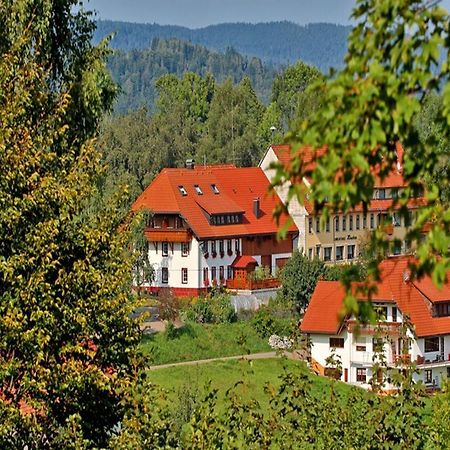 Haus Schlageter Apartment Dachsberg im Schwarzwald Bagian luar foto