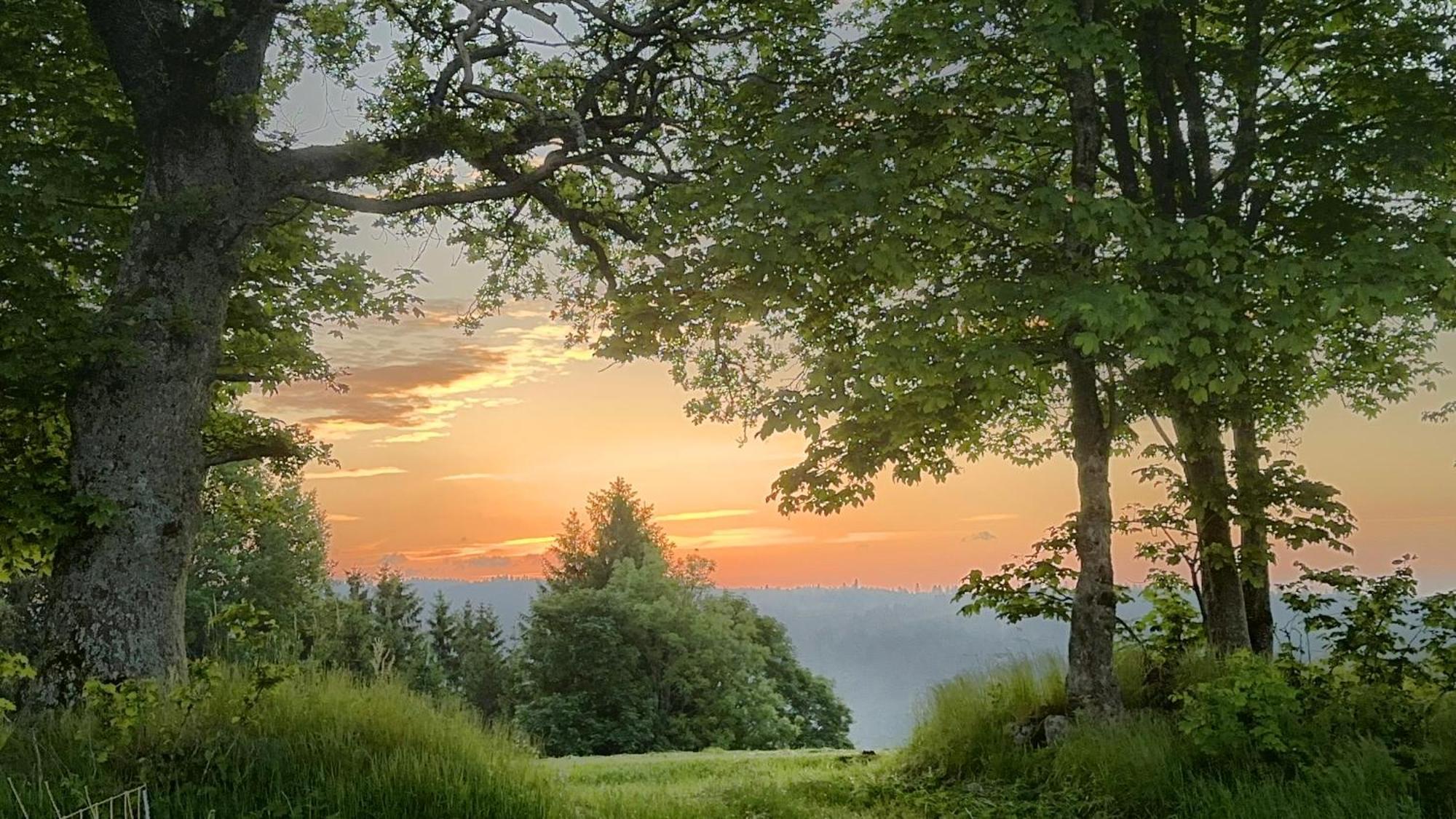Haus Schlageter Apartment Dachsberg im Schwarzwald Bagian luar foto