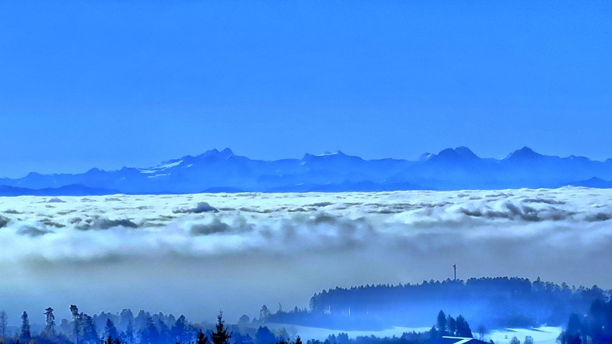 Haus Schlageter Apartment Dachsberg im Schwarzwald Bagian luar foto