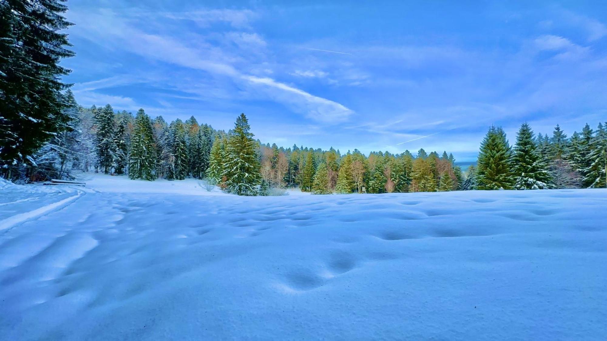 Haus Schlageter Apartment Dachsberg im Schwarzwald Bagian luar foto